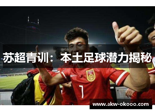 苏超青训：本土足球潜力揭秘
